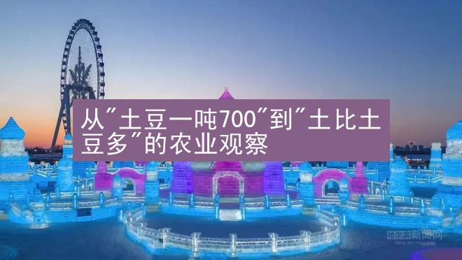 从"土豆一吨700"到"土比土豆多"的农业观察